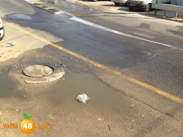 mjarym7atalud504 (3).JPG